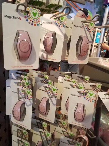 Millenial Pink Magic Band